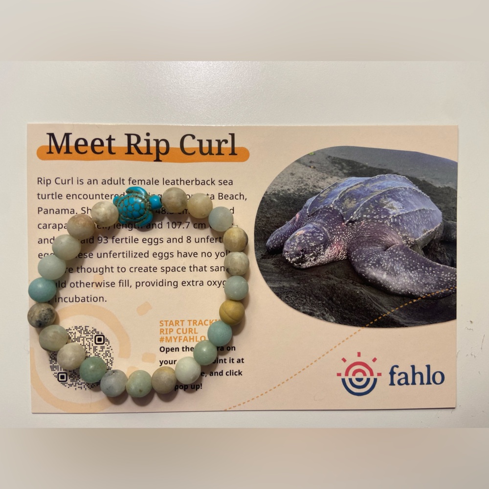 Fahlo Sky Stone Turtle Beaded Stretch Bracelet